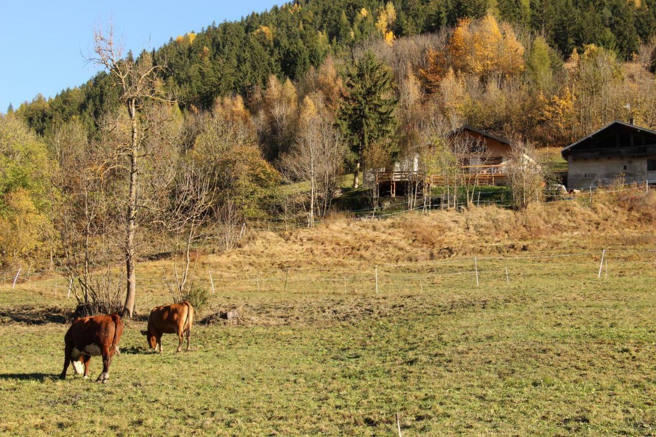 Le Chalet Des Eulets Бур-Сен-Морис Экстерьер фото